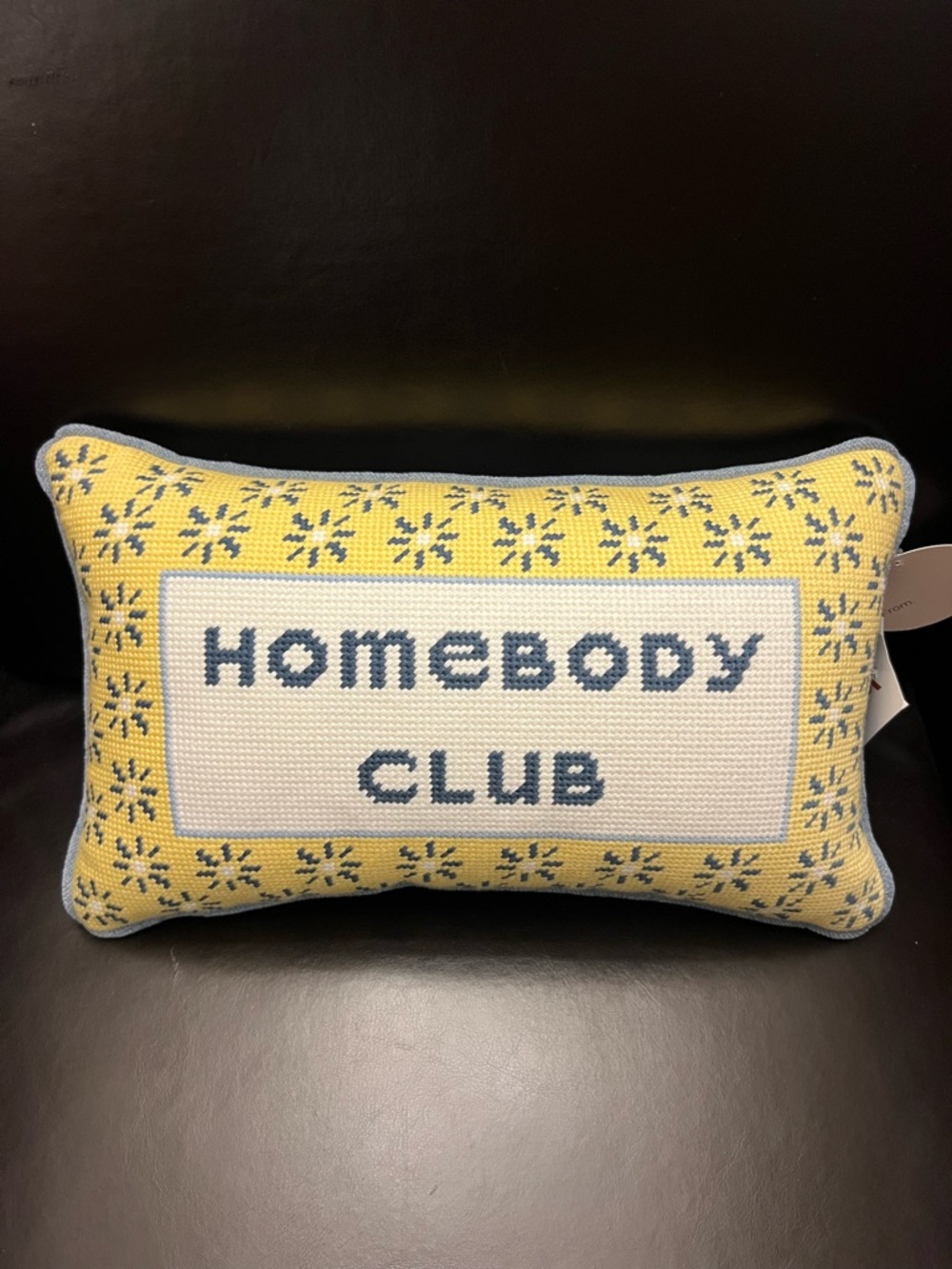 Homebody Club Embroidered Needlepoint pillow, NWT
